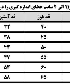 Alternative view of بلوز سلانیک اسپرت گلدوزی فان