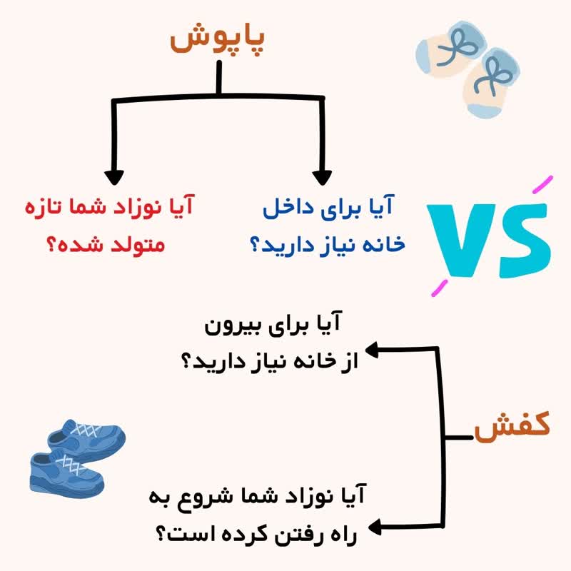 پاپوش یا کفش