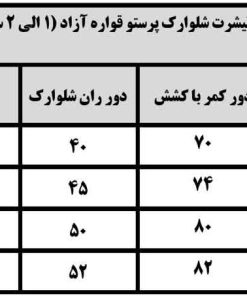 ست تیشرت شلوارک پرستو پسرانه قواره آزاد - Image 4