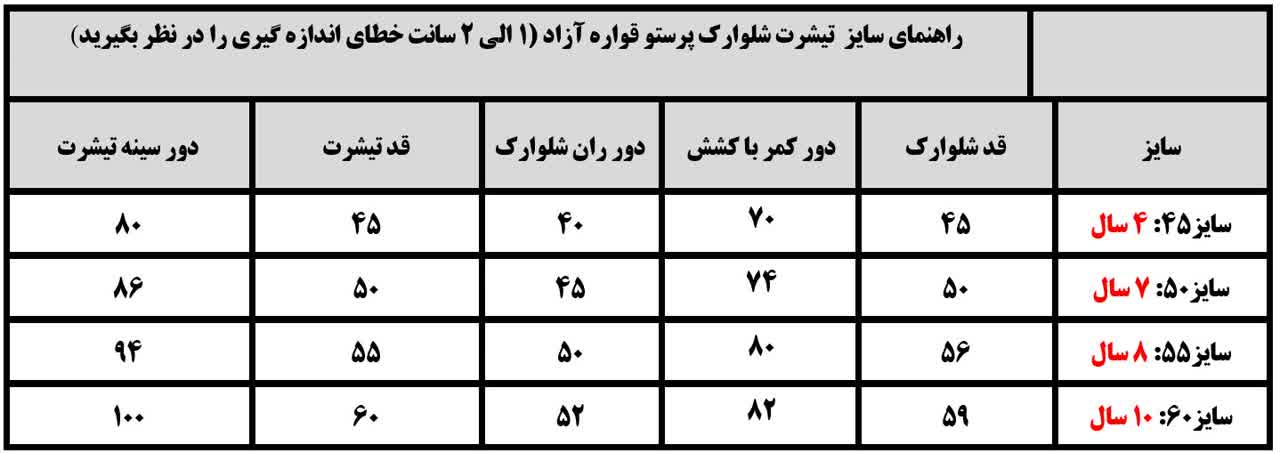 ست تیشرت شلوارک پرستو پسرانه قواره آزاد - Image 4